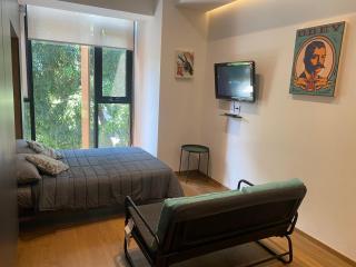 Cozy Roma Condesa - Città del Messico - 9