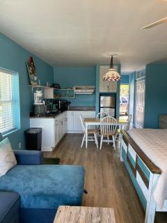 Cedar Key Turtle 132 - 4
