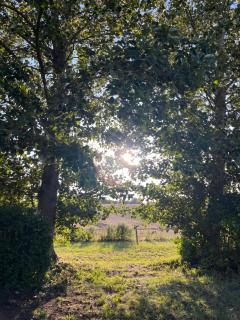 Brandenburg Oase - 4