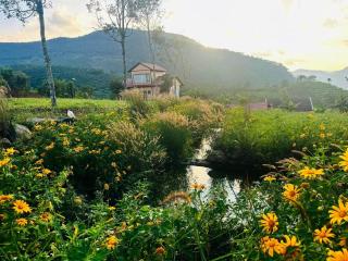 Giăng's House Farmstay & Glamping - Bao Loc - 6