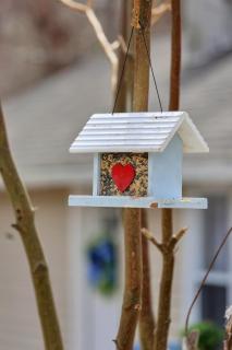 Home in the Woods - - 3