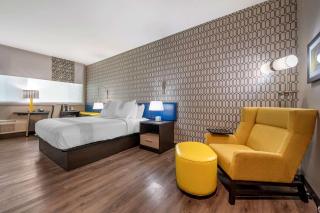 GLō Best Western Lexington - Lexington - 7