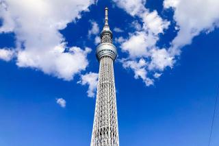 さくらコンフォート - 6