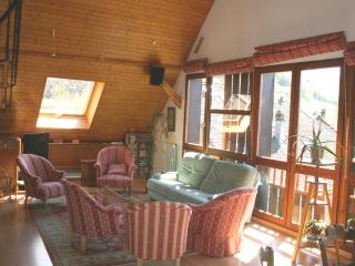 La grange - Menthon-Saint-Bernard - 8