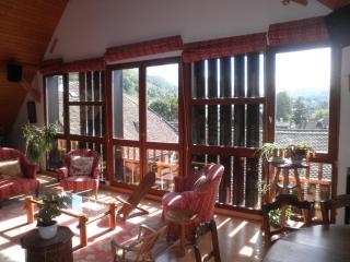 La grange - Menthon-Saint-Bernard - 3