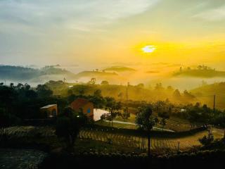 Giăng's House Farmstay & Glamping - Bao Loc - 5