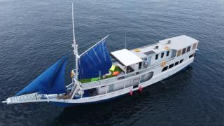 Open Trip Komodo 3 Days 2 Nights - - 0