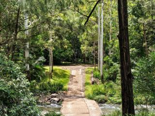 Creekside Rainforest Retreat - Lamington - 1