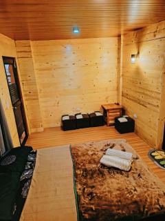 Forest Valley Transient - 2