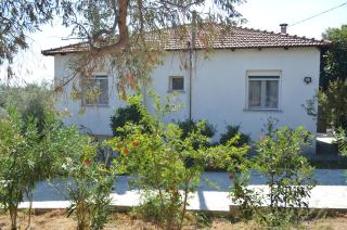 Villa Siesta gr - PalaiónTsiflíkion - 7