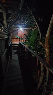 Casa Curuá - Alter do Chão - 1