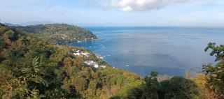 Spruce Sapphire - Mabini - 1