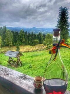 Cabana Ski Calimani - 5