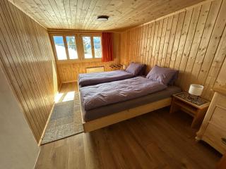 Alpenchalet Haldeli Ferienwohnung - Gstaad - 3