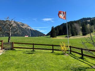 Alpenchalet Haldeli Ferienwohnung - Gstaad - 5