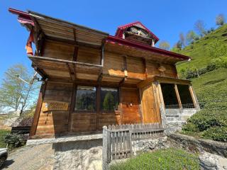 Gunguli Dağ Evi - 0