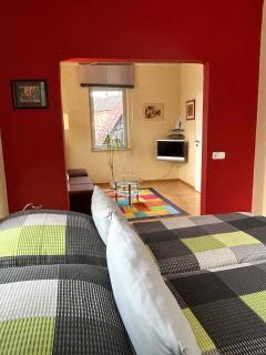 Holiday il Macellaio - NW Mitte - If you wanna feel Home - Neustadt an der Weinstraße - 8