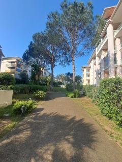 Grand T3 avec Terrasse et Jardin - Fréjus - 5