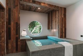 YunXi ChanYi Forest Soup Spring Resort Hotel ,Provides pick-up service and tea leaves,Drink Chinese wild tea leaves - 6