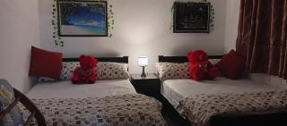 Nobel Bungalow - Nuwara Eliya - 2