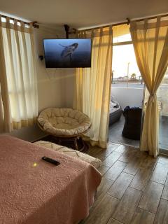 Dolphin beach house - San Antonio - 3