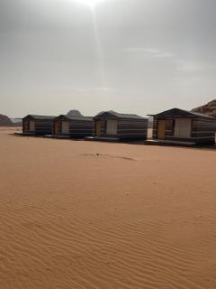 Green Desert - 8