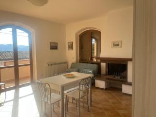 Camelia - Gubbio - 2