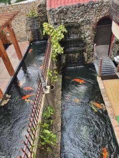 Koi Empire Bed and Breakfast - Sampong - 6