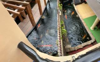 Koi Empire Bed and Breakfast - Sampong - 5