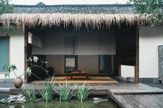 YunXi ChanYi Forest Soup Spring Resort Hotel ,Provides pick-up service and tea leaves,Drink Chinese wild tea leaves - 7