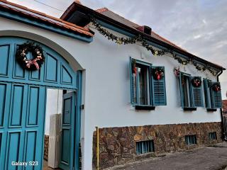 Saxon Charming House - Close to Old Town - 0