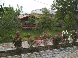 Lovely Villa - Gabala - 8