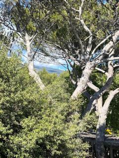Maisonnette de charme au pied du Mont Ventoux ! - Bédoin - 3
