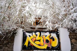 Raybo Hostel - Leh - 0
