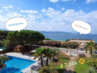Au Châtaignier Corse - Vico - 8