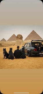 Ahmed Elsayed - Il Cairo - 0