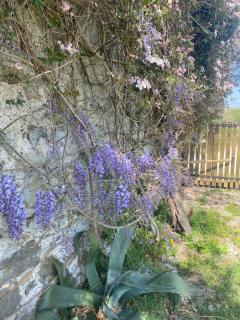 Chambre d’hôtes La Ferté - 5