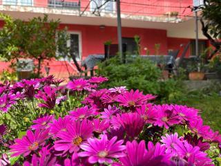 Portorož Apartments Franca - Portorož - 7