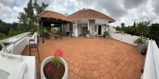 Bougainvillea - Mysore - 2