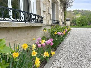 Le Manoir du Cèdre - 7 minutes from Pierrefonds - Chelles - 3