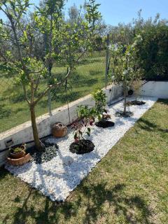 Golden house - Alexandroupoli - 6