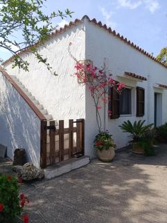 Villa le palme - Cala Liberotto - 3