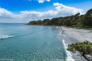 Villa le palme - Cala Liberotto - 5