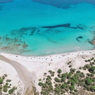 Villa le palme - Cala Liberotto - 7