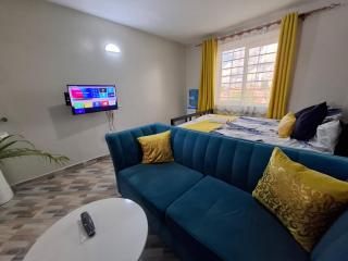 Affordable studio Apartment Kahawa west - Kahawa - 1