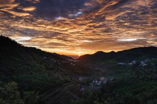 The Songbird - Coonoor - 5