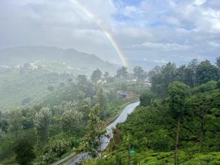The Songbird - Coonoor - 3