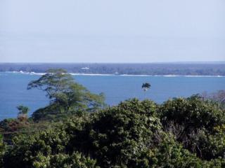 Island Goode's - Luxury Adult Only Accommodation near Hilo - Papaikou - 8