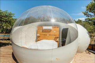 Les bulles Nîmoises - Nimes - 7