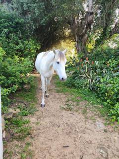 ecological earthen home - Larache - 9